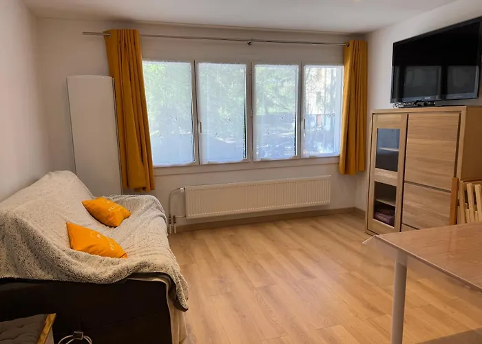 Proche Des Pistes - Chantegrive *